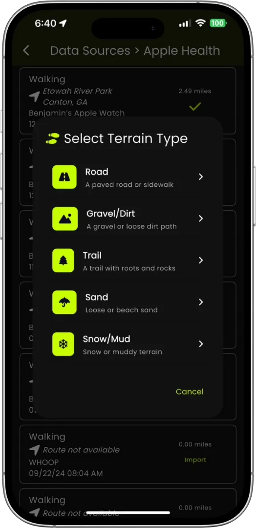 Terrain type visualization showing different surface options